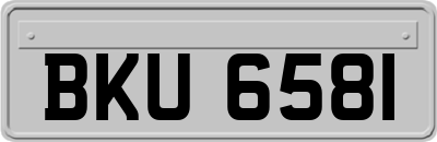 BKU6581