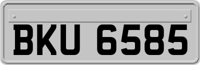 BKU6585