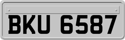 BKU6587