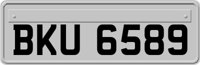 BKU6589