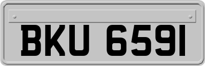 BKU6591