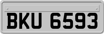 BKU6593