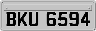 BKU6594