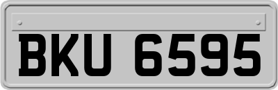 BKU6595