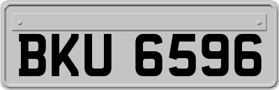 BKU6596