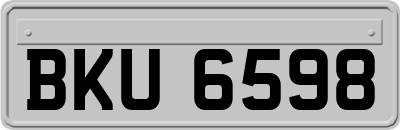 BKU6598