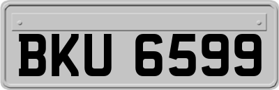 BKU6599