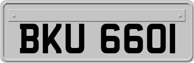 BKU6601
