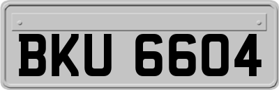 BKU6604