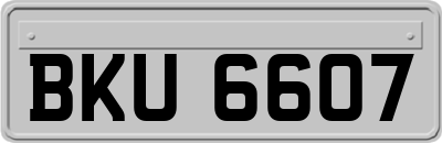BKU6607