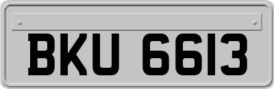 BKU6613