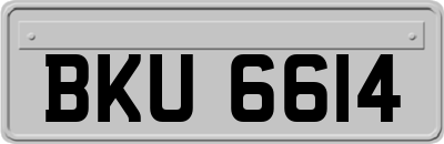 BKU6614