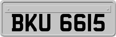 BKU6615