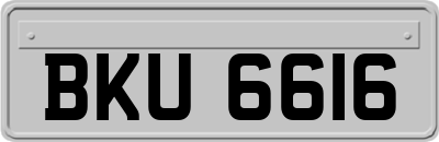 BKU6616
