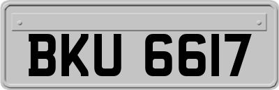 BKU6617