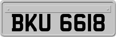BKU6618