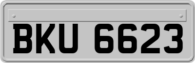 BKU6623