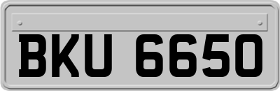 BKU6650