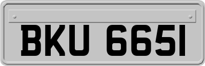 BKU6651