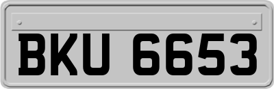 BKU6653