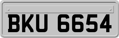 BKU6654