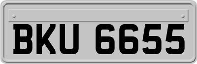 BKU6655