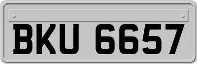 BKU6657