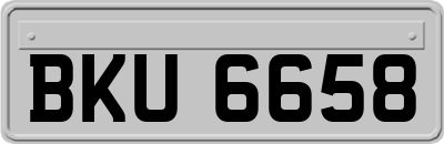 BKU6658