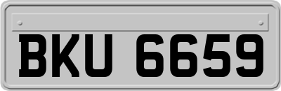 BKU6659