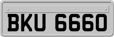 BKU6660