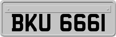 BKU6661