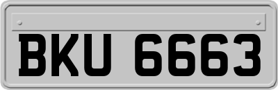 BKU6663