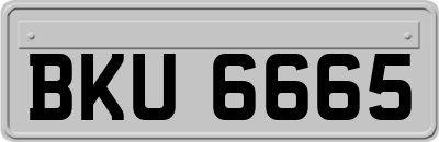 BKU6665
