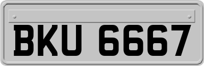 BKU6667