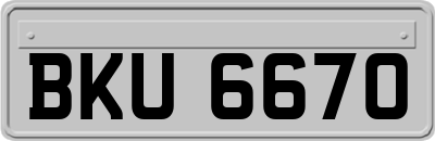 BKU6670