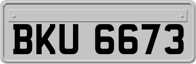 BKU6673