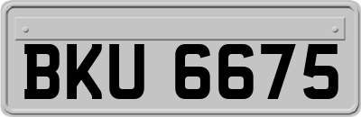 BKU6675
