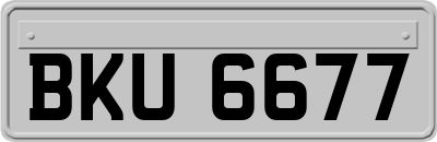 BKU6677