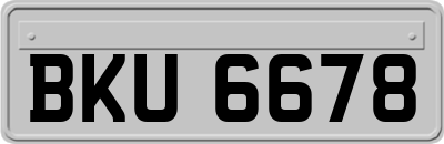 BKU6678