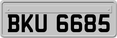 BKU6685