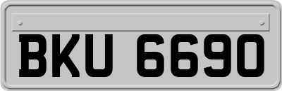 BKU6690