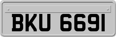 BKU6691