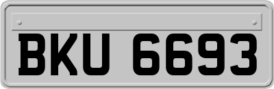 BKU6693