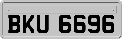 BKU6696