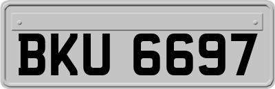 BKU6697