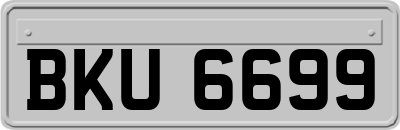 BKU6699