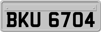 BKU6704