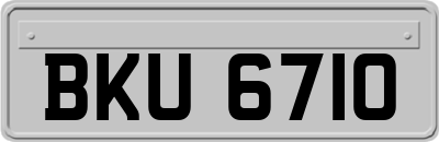 BKU6710