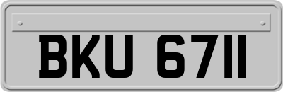 BKU6711
