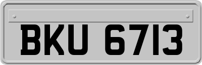BKU6713